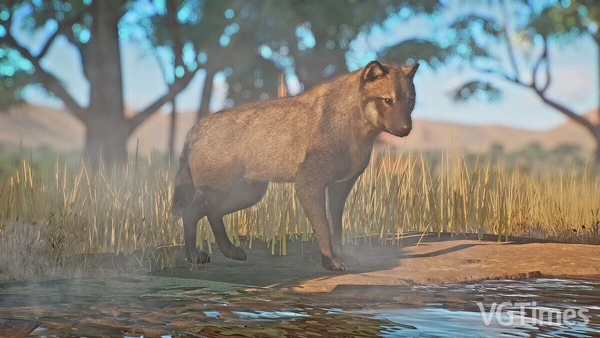 Planet Zoo — Ужасный волк — новые виды