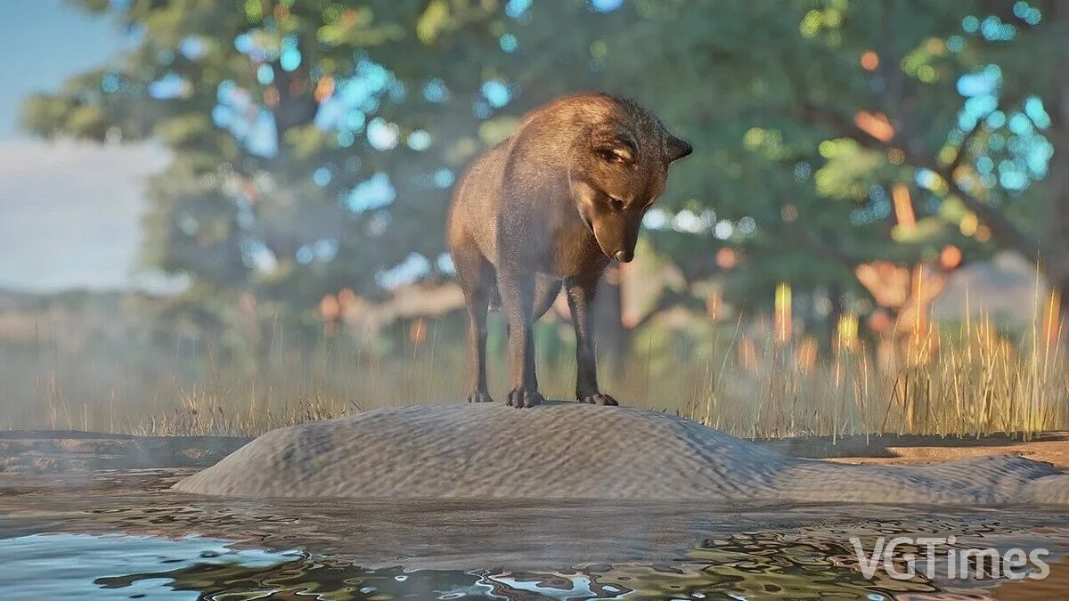 Planet Zoo — Ужасный волк — новые виды