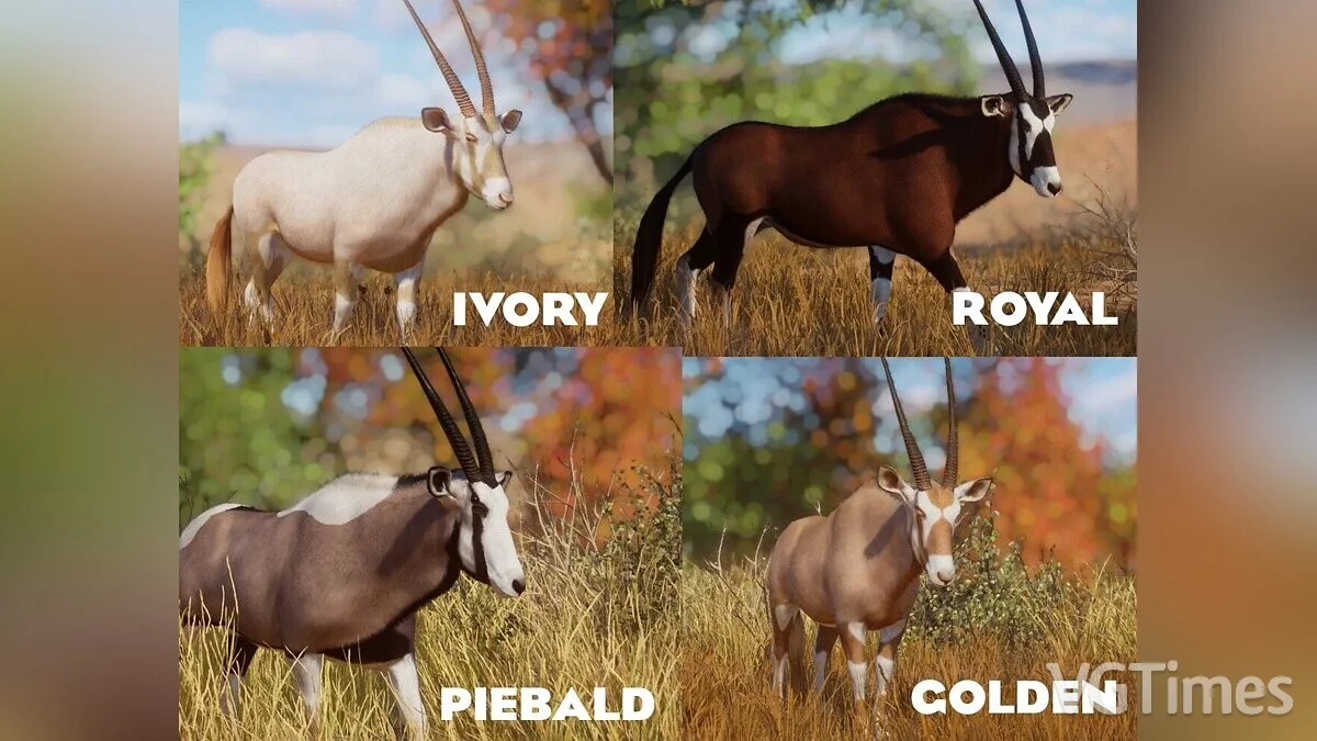 Planet Zoo — Антилопа-гемсбок - ремастер