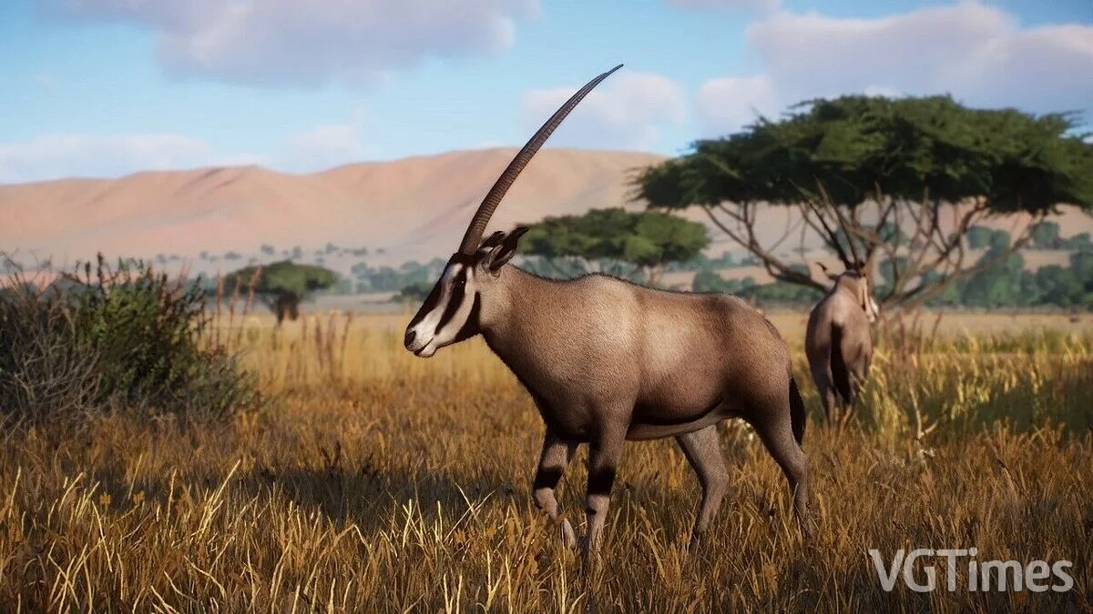 Planet Zoo — Бахроматоухий орикс — новые виды