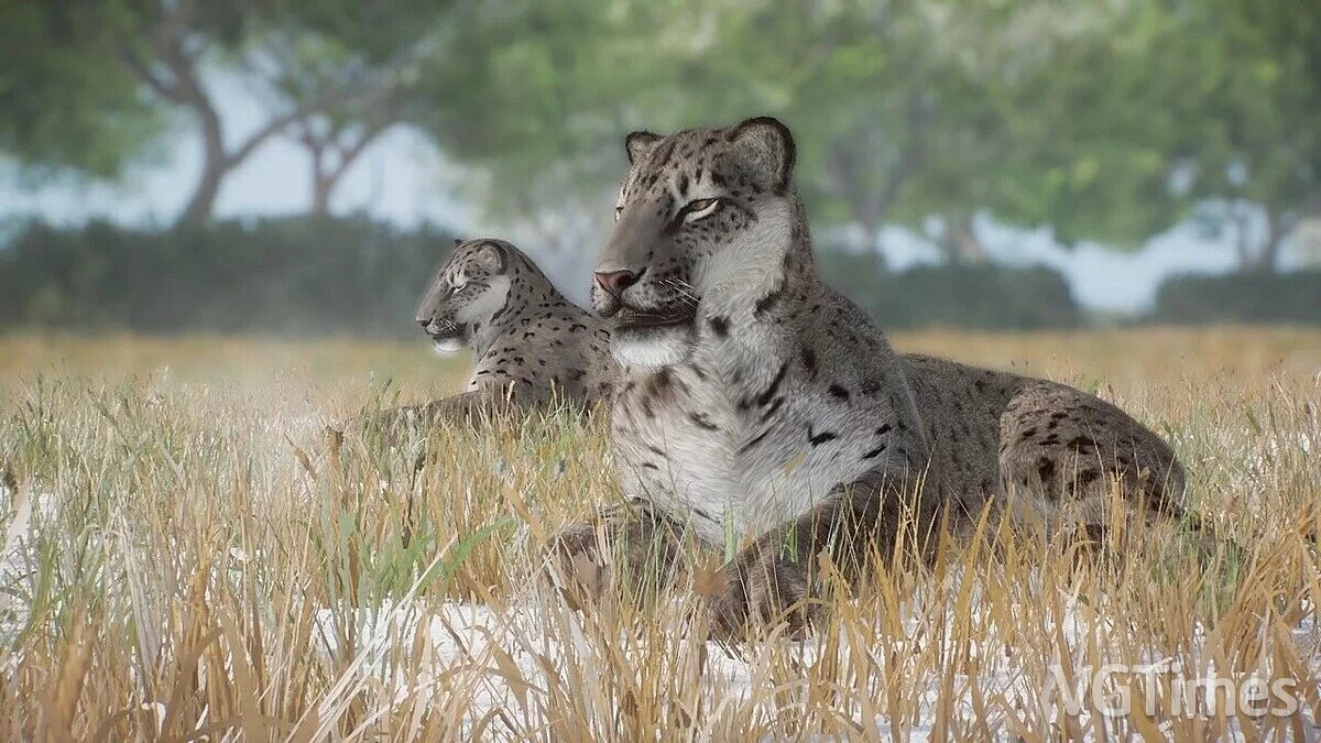 Planet Zoo — Гомотерий - вымерший новый вид