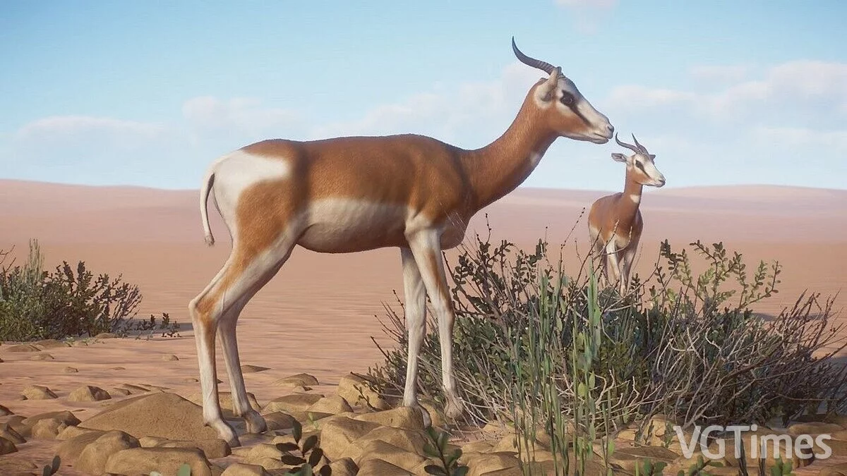 Planet Zoo — Мхорр Газель - новые виды