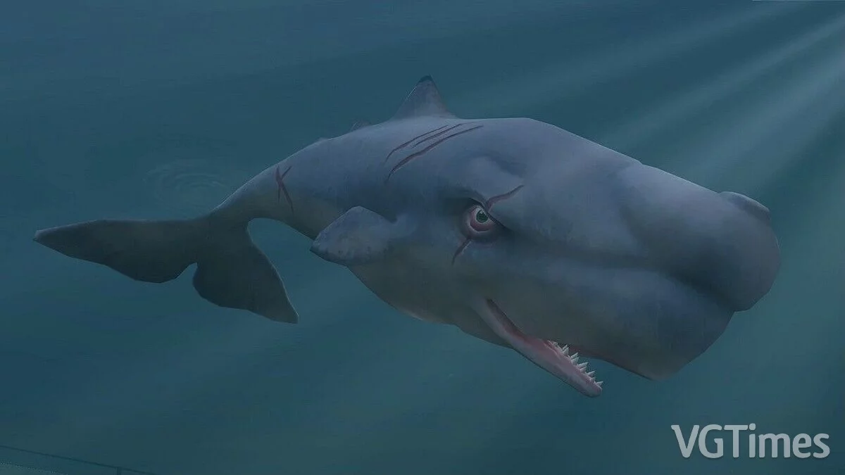 Zoo Tycoon 2 — Моби Дик (новые виды)