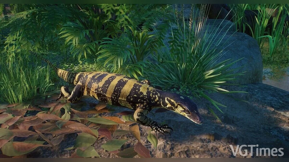 Planet Zoo — Желтоголовый водяной варан — новые виды