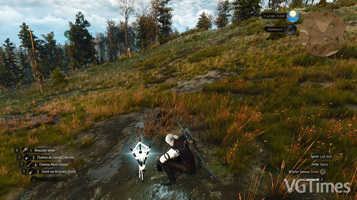 The Witcher 3: Wild Hunt — Восстановление вырезанного контента