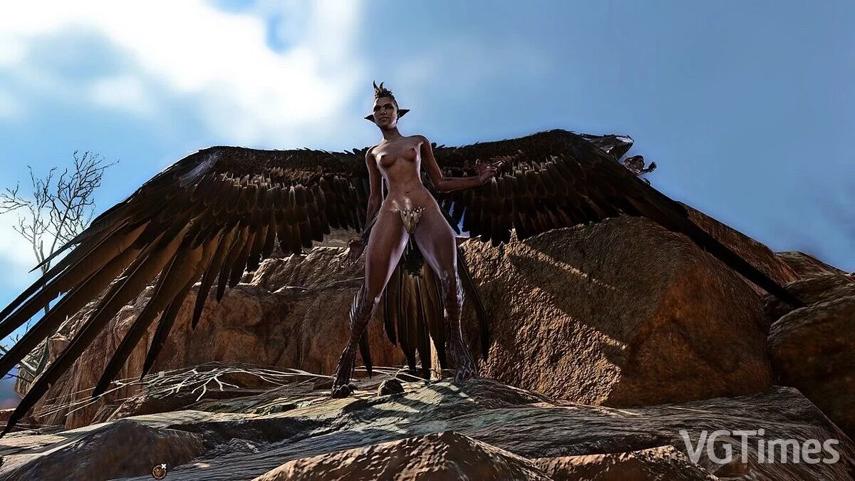 Baldur&#039;s Gate 3 — Улучшенная гарпия