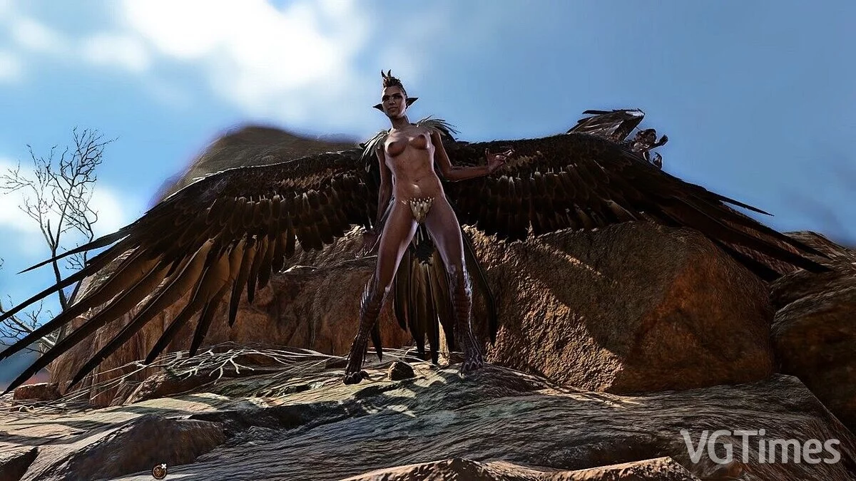 Baldur&#039;s Gate 3 — Улучшенная гарпия