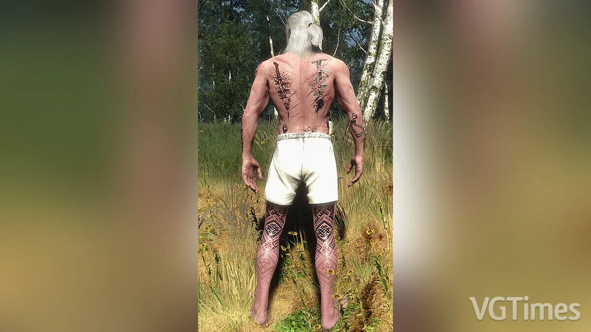 The Witcher 3: Wild Hunt - Complete Edition — Татуировки для Геральта