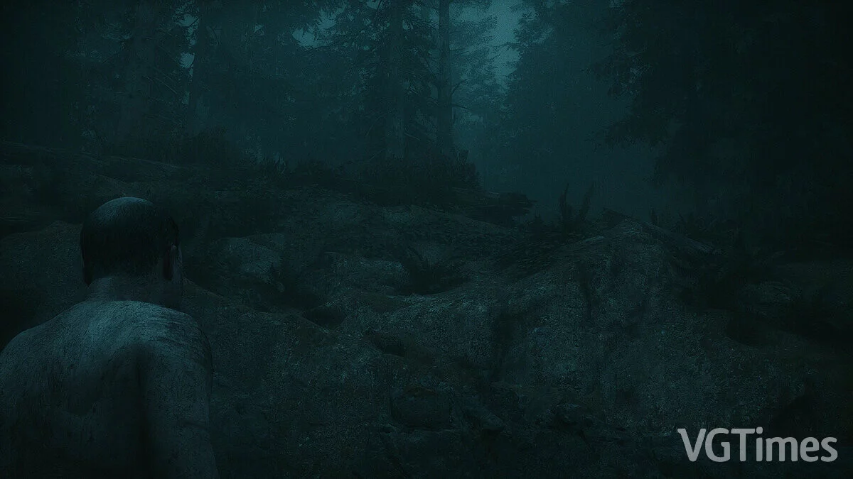 Alan Wake 2 — Улучшение DLSS