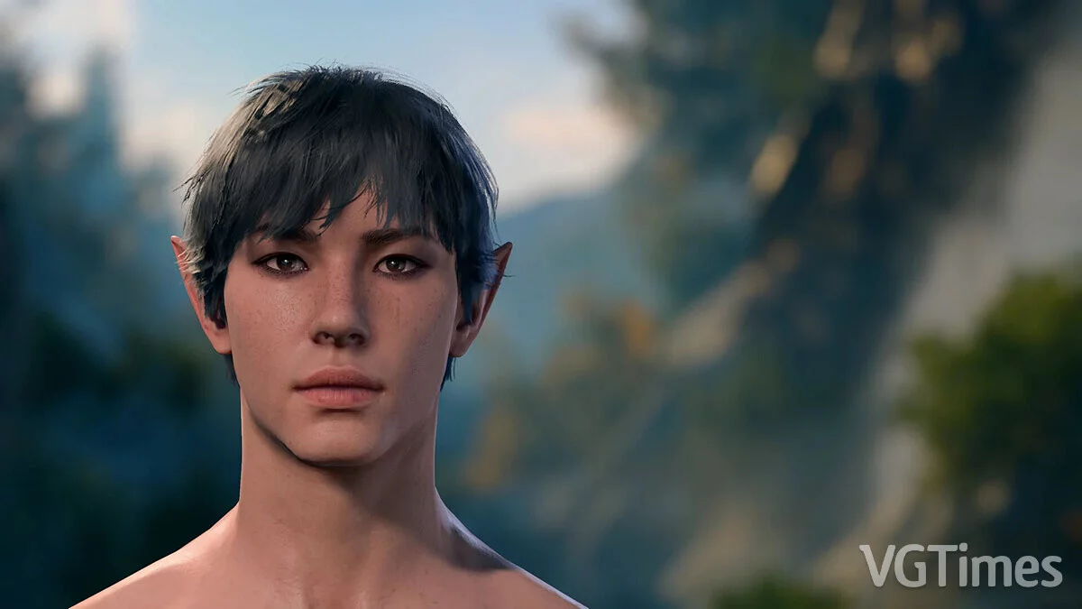 Baldur&#039;s Gate 3 — Новые пресеты для персонажей