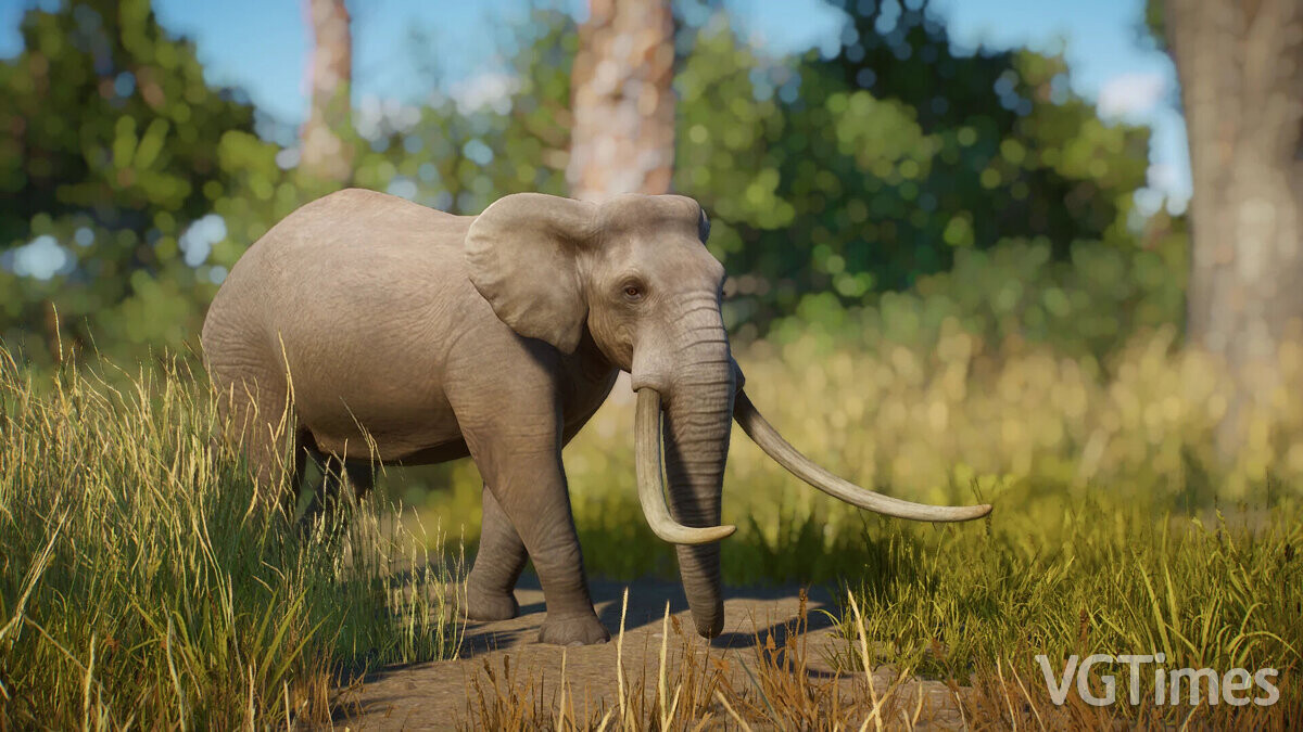 Planet Zoo — Сицилийский карликовый слон — новый вымерший вид