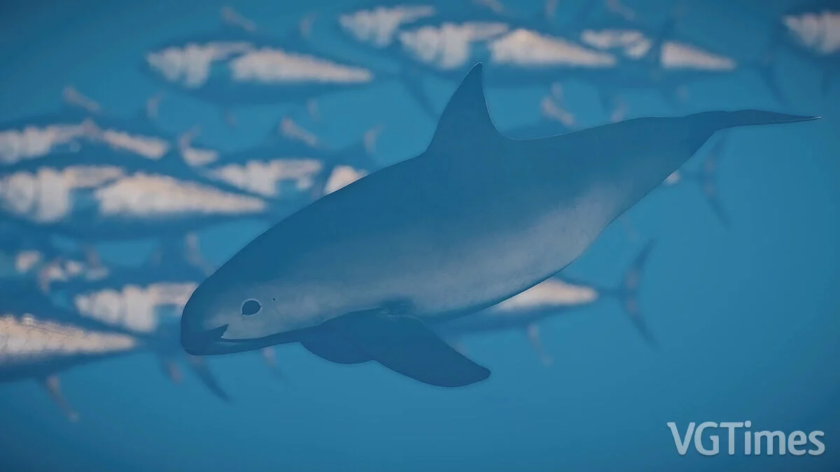 Planet Zoo — Вакита - новые виды