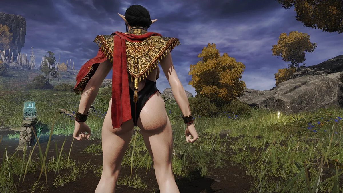 Elden Ring — Бикини «Повелитель крови»