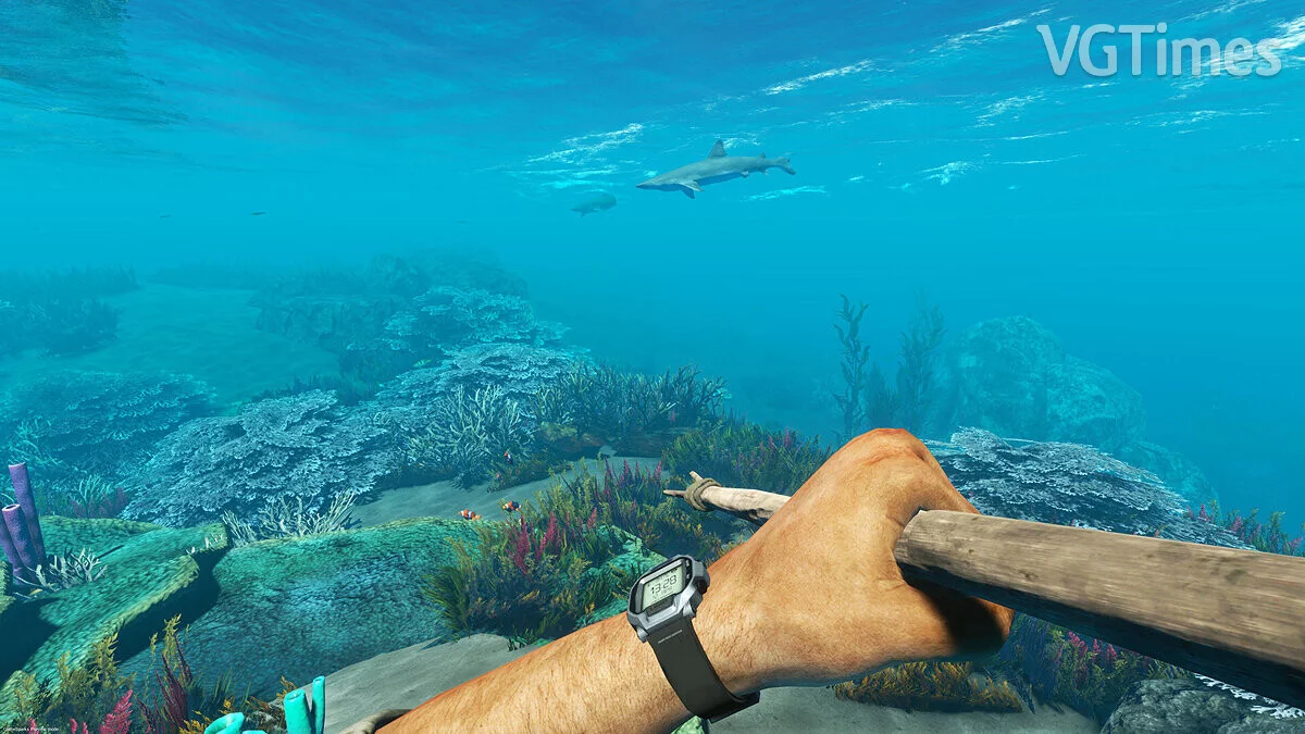 Stranded Deep — Сохранение [Лицензия Epic]