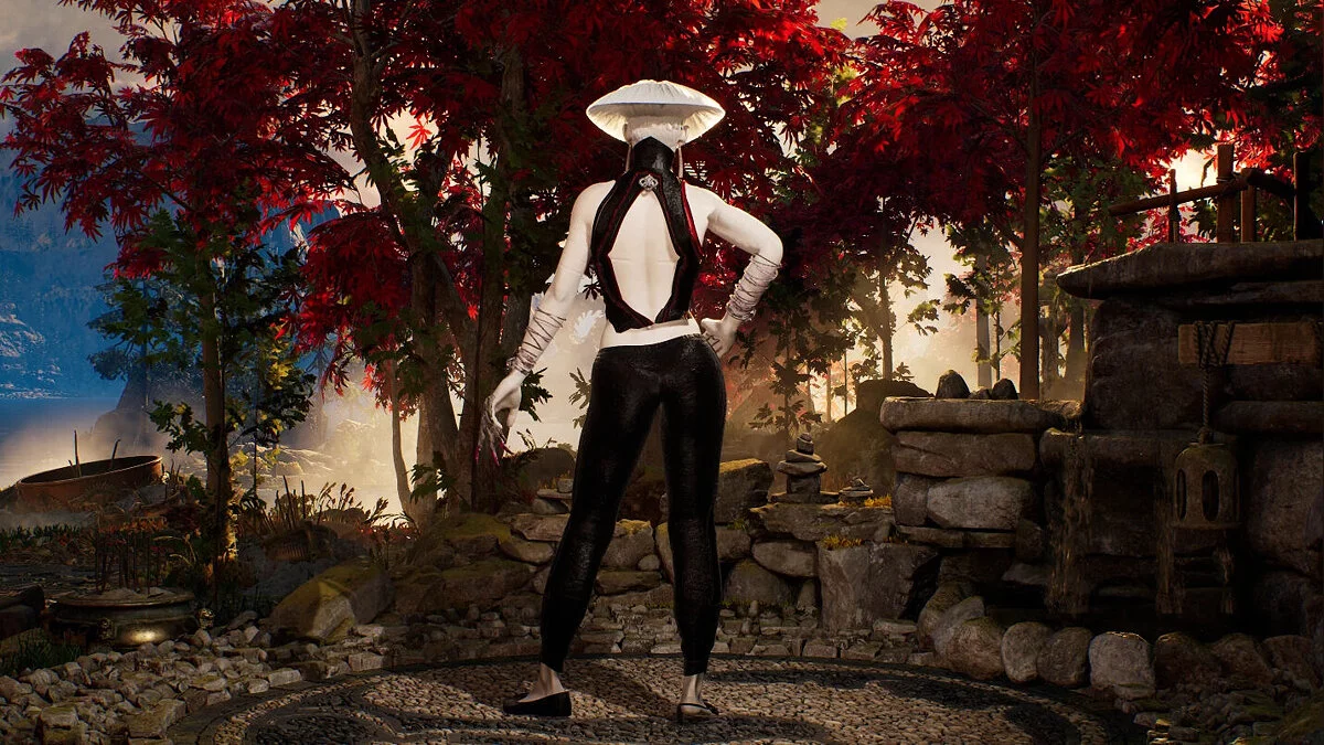 Mortal Kombat 1 — Аки вместо Камелеона