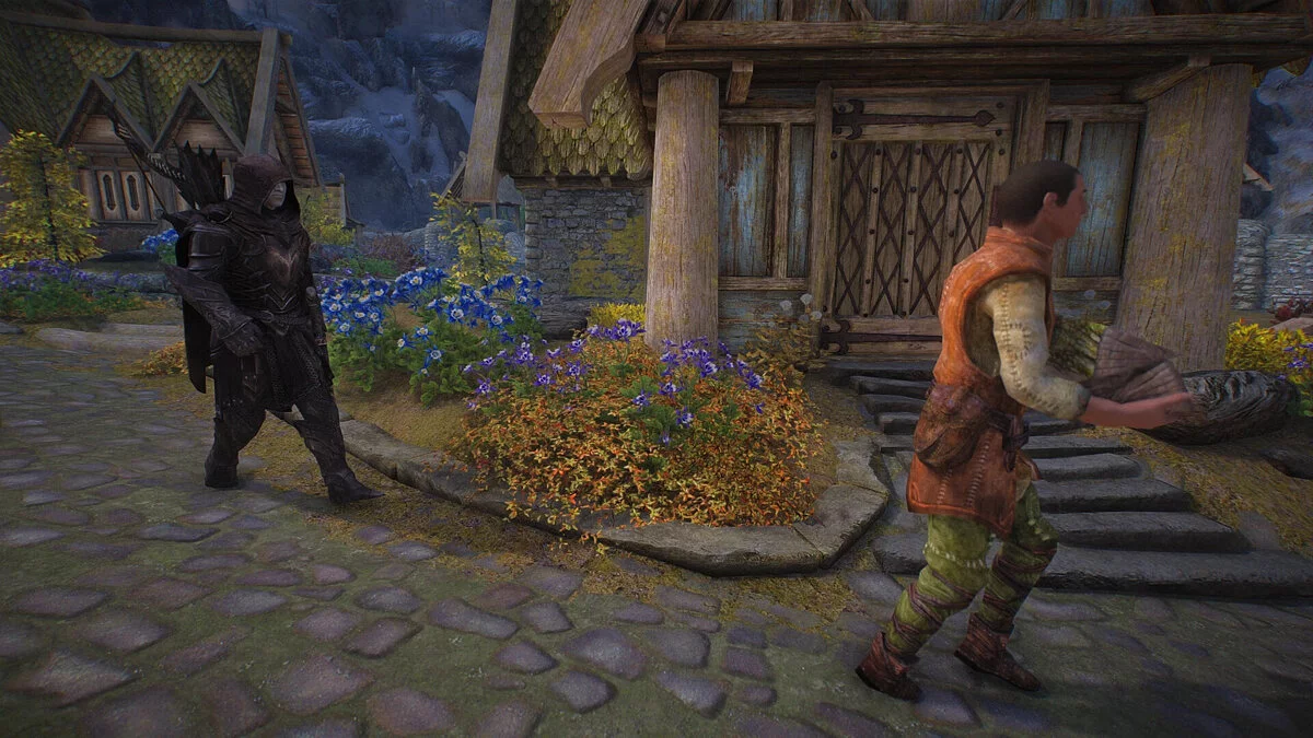 Elder Scrolls 5: Skyrim Special Edition — Автоматическое следование за NPC