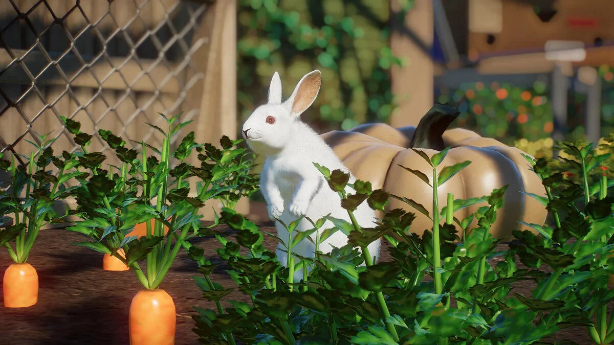 Planet Zoo — Европейский кролик - новый вид