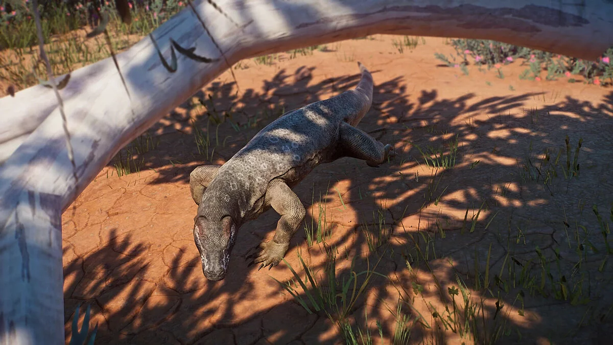 Planet Zoo — Мегалания - новый вымерший вид