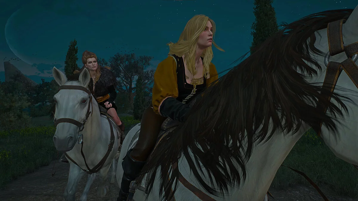 The Witcher 3: Wild Hunt - Complete Edition — Роман с Анной-Генриеттой и Вивиенной де Тарбис