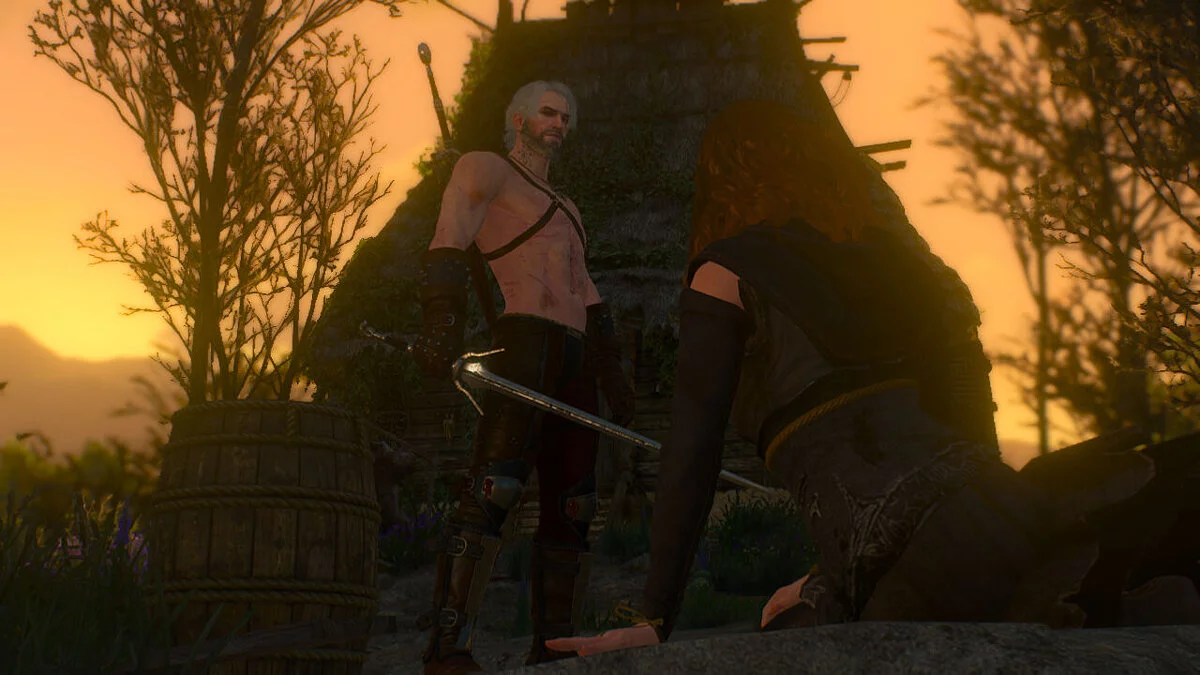 The Witcher 3: Wild Hunt — Сборка «ВЕДЬМАК 3: Очень Дикая Охота»