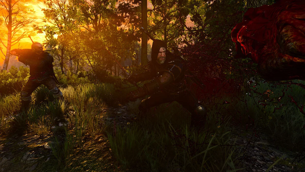 The Witcher 3: Wild Hunt — Сборка «ВЕДЬМАК 3: Очень Дикая Охота»