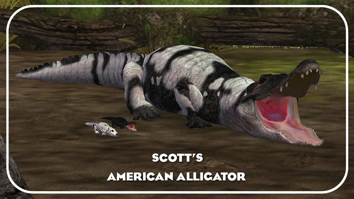 Zoo Tycoon 2 — Американский аллигатор