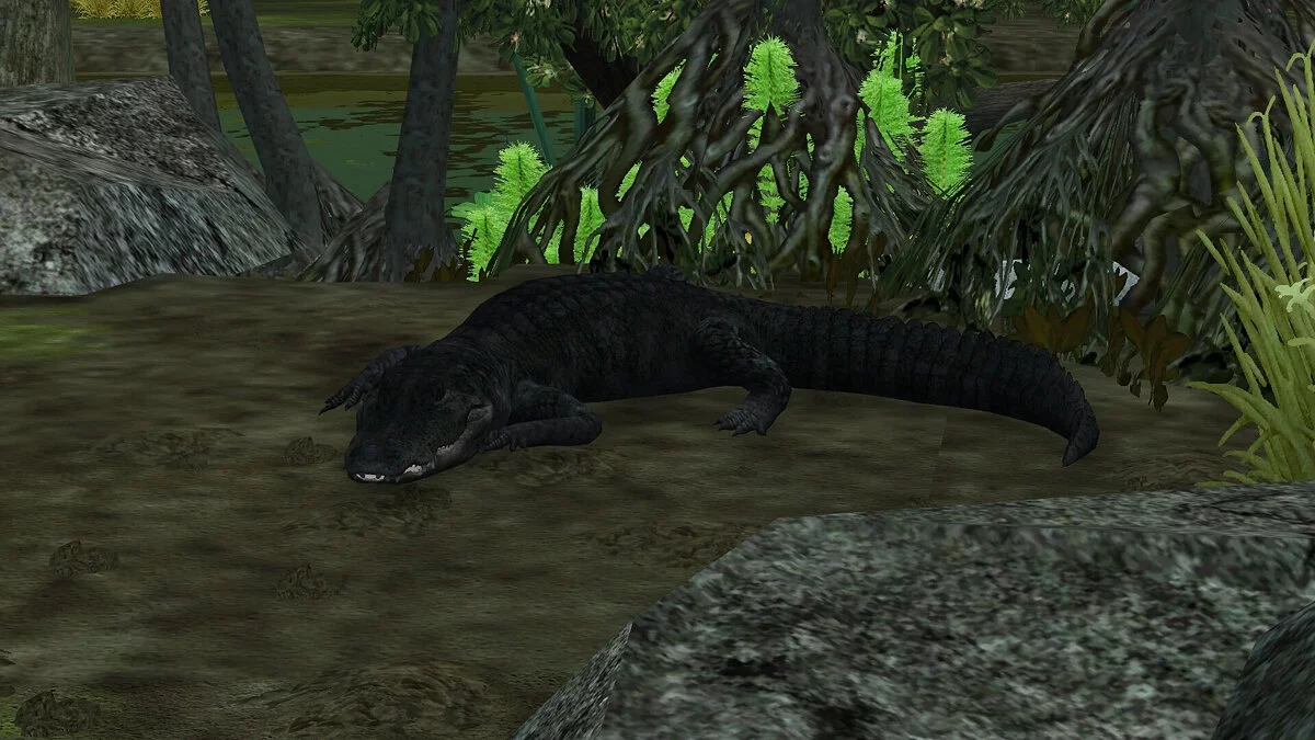 Zoo Tycoon 2 — Американский аллигатор