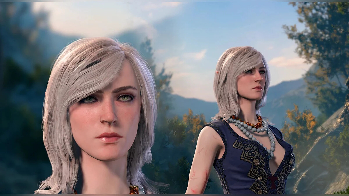 Baldur's Gate 3 — Лица персонажей из игры Witcher 3