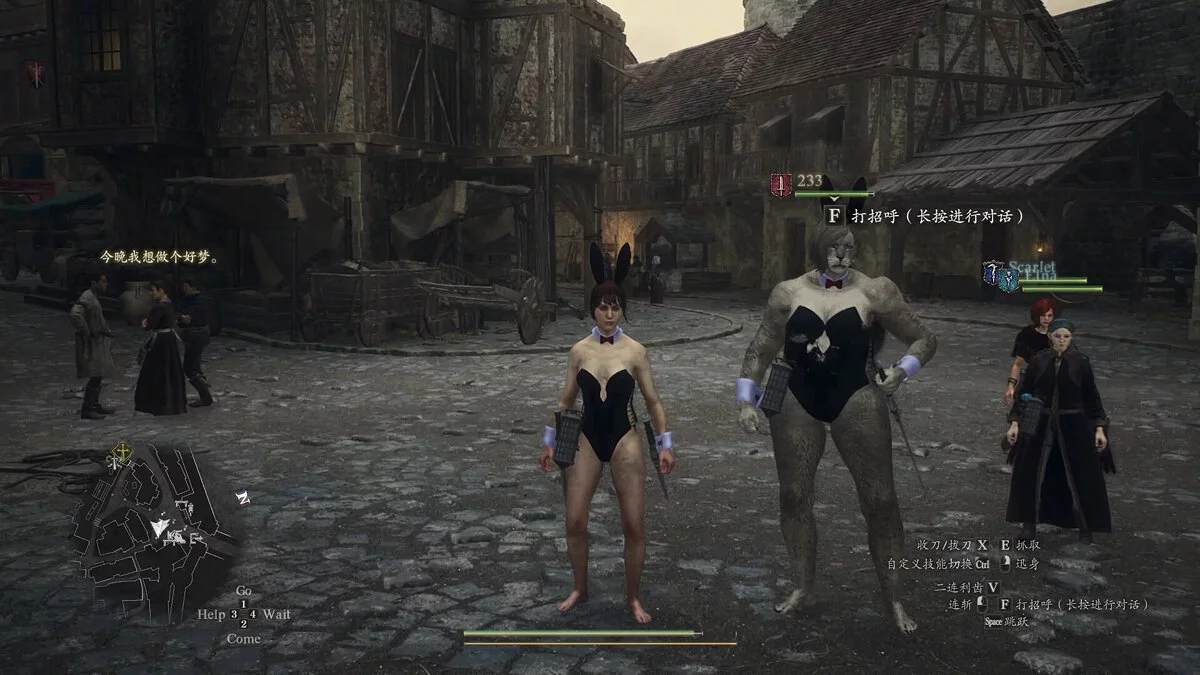 Dragon's Dogma 2 — Женский костюм зайчика