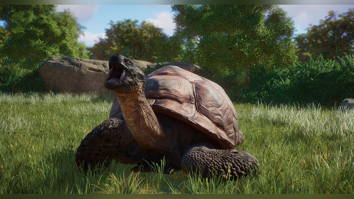 Planet Zoo — Атласная черепаха - новый вымирающий вид