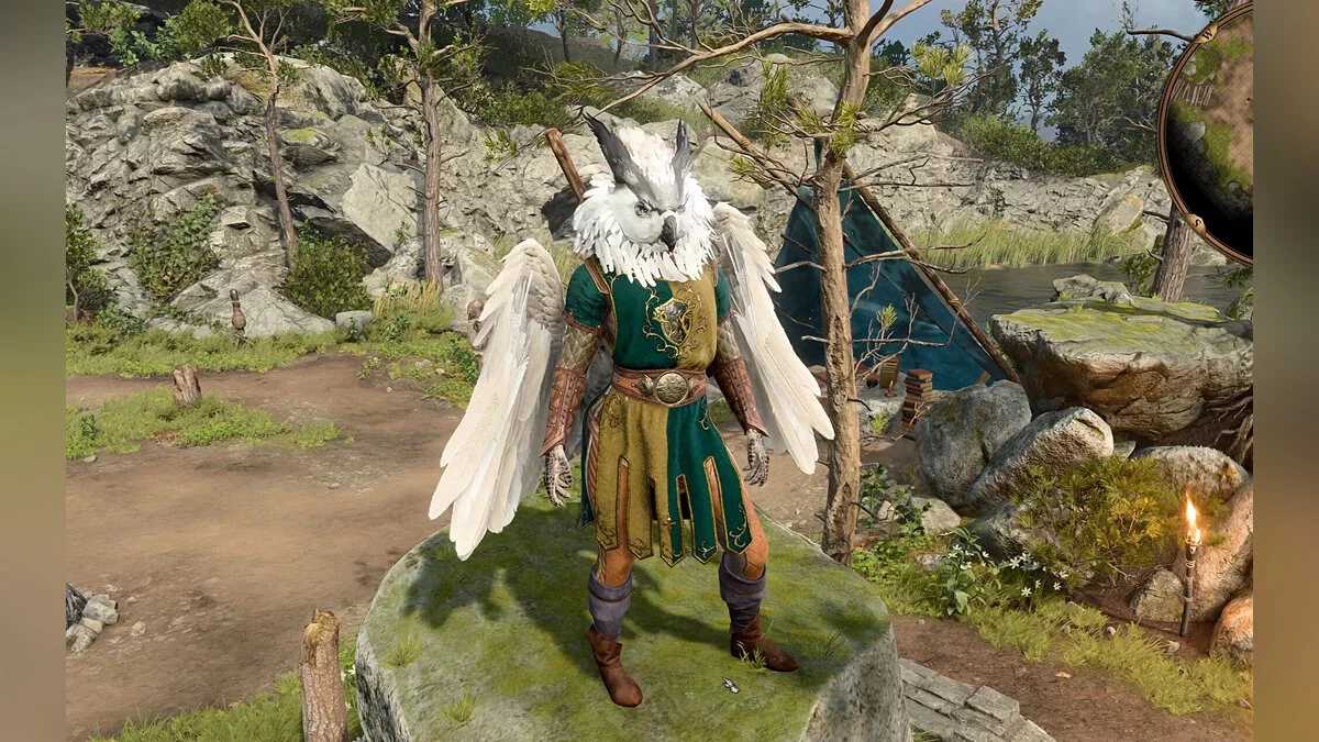 Baldur&#039;s Gate 3 — Раса сов