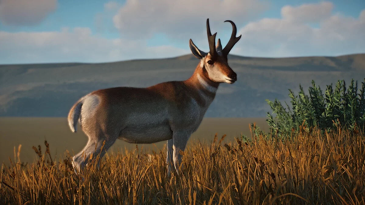 Planet Zoo — Ремастер антилопы Пронгхорн