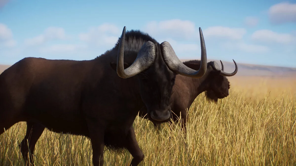 Planet Zoo — Ремастер Черного гну