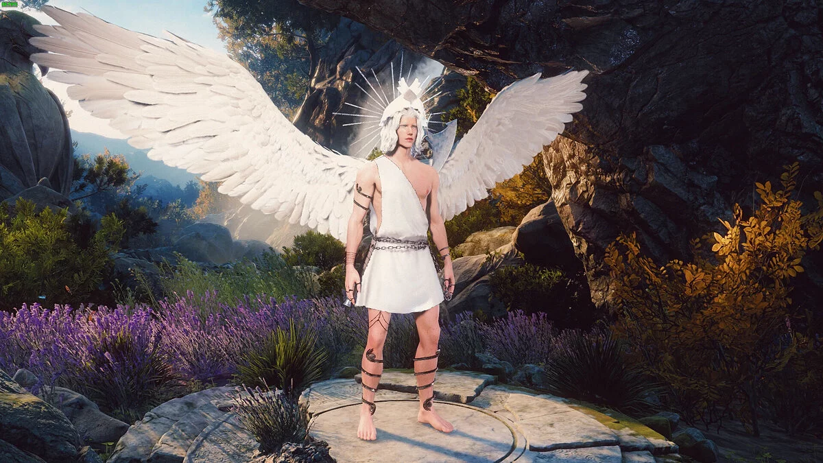 Baldur's Gate 3 — Божественные наряды