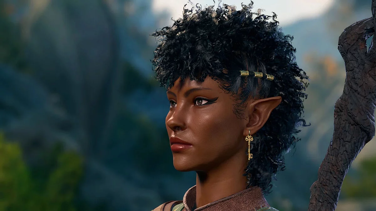 Baldur&#039;s Gate 3 — Диа - женский пресет