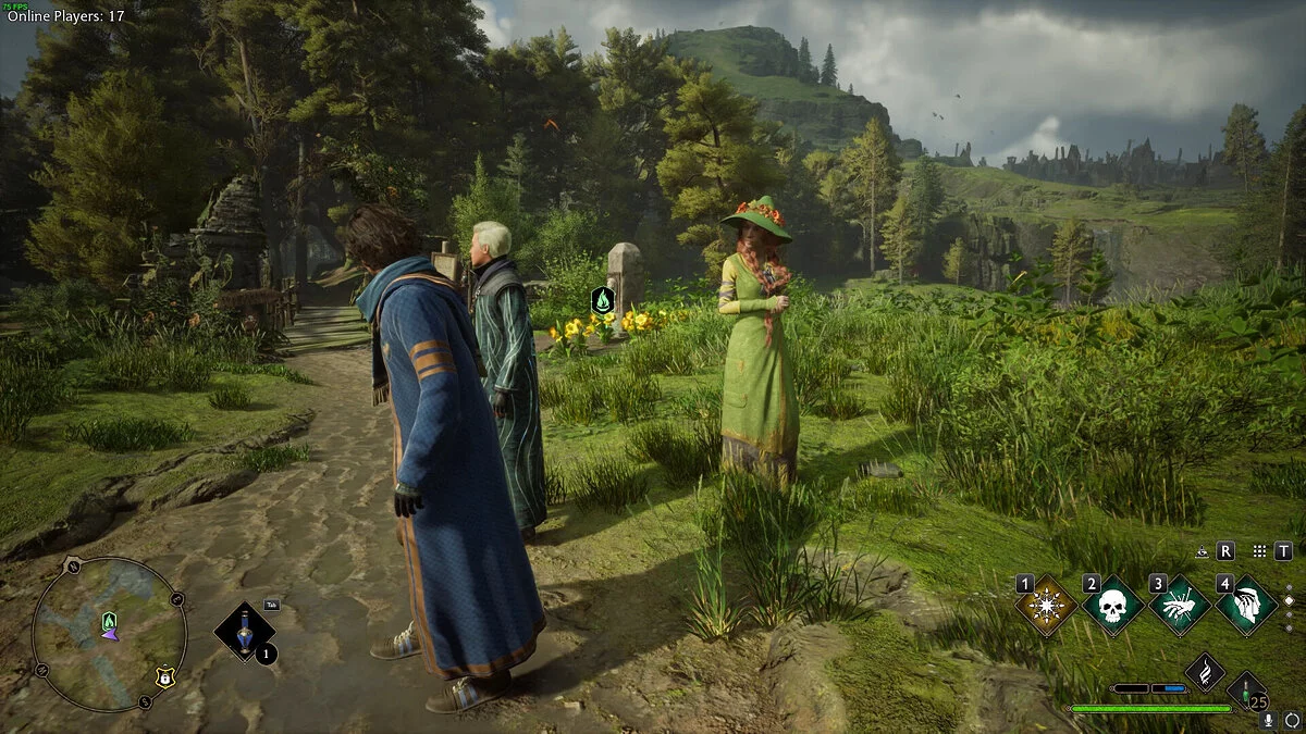 Hogwarts Legacy — HogWarp — многопользовательский режим