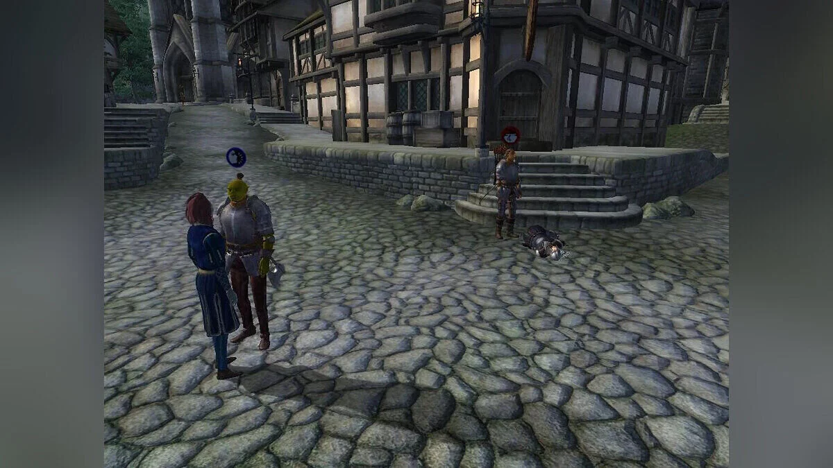 The Elder Scrolls 4: Oblivion — Кооперативный режим