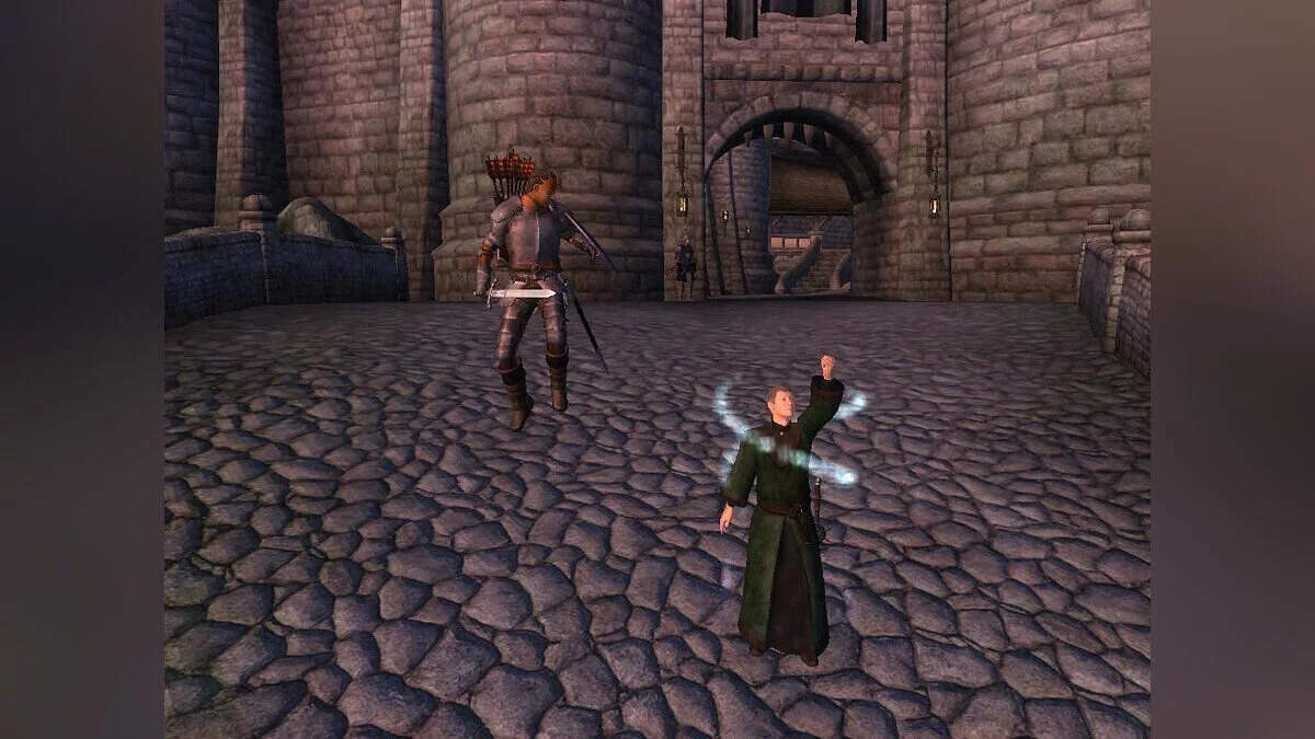 The Elder Scrolls 4: Oblivion — Кооперативный режим