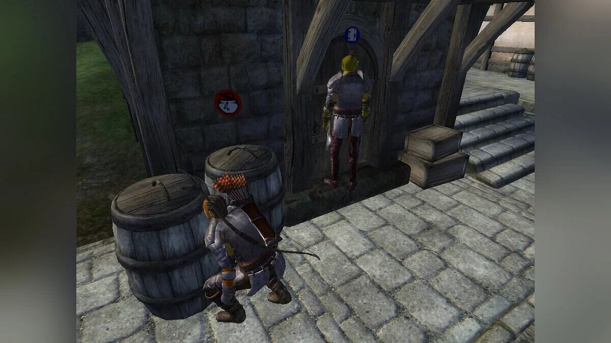 The Elder Scrolls 4: Oblivion — Кооперативный режим