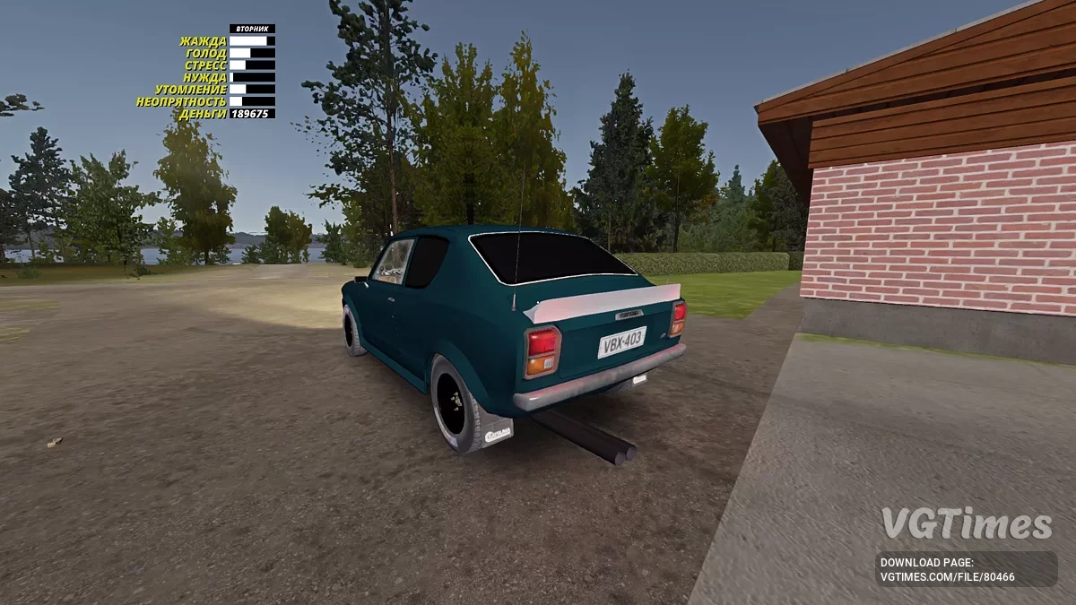 My Summer Car — Cатсума с дефектом