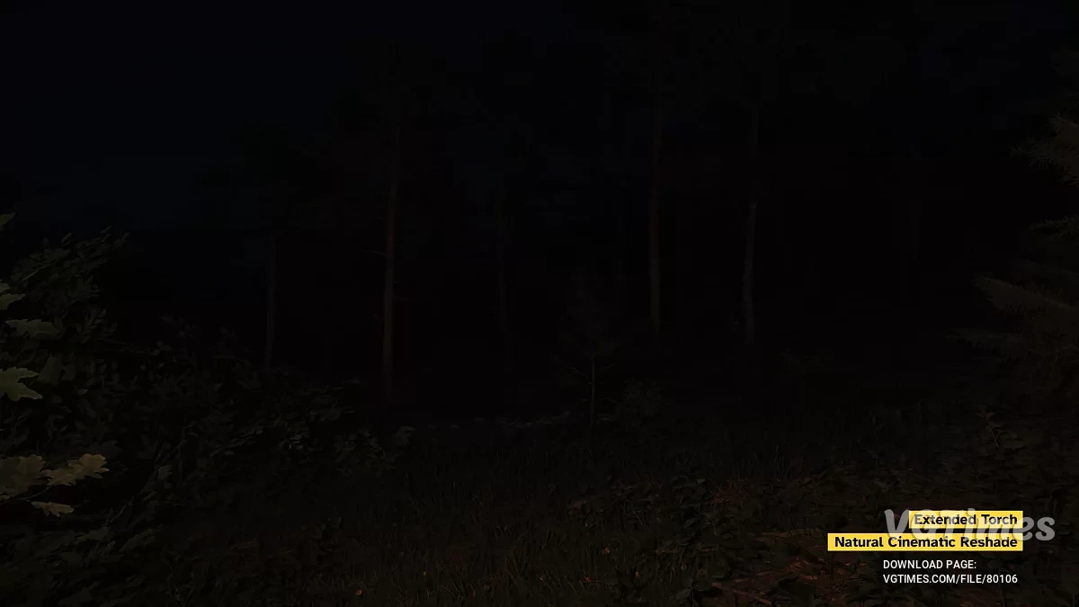 Kingdom Come: Deliverance 2 — Яркие факелы