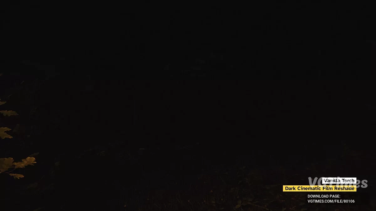 Kingdom Come: Deliverance 2 — Яркие факелы