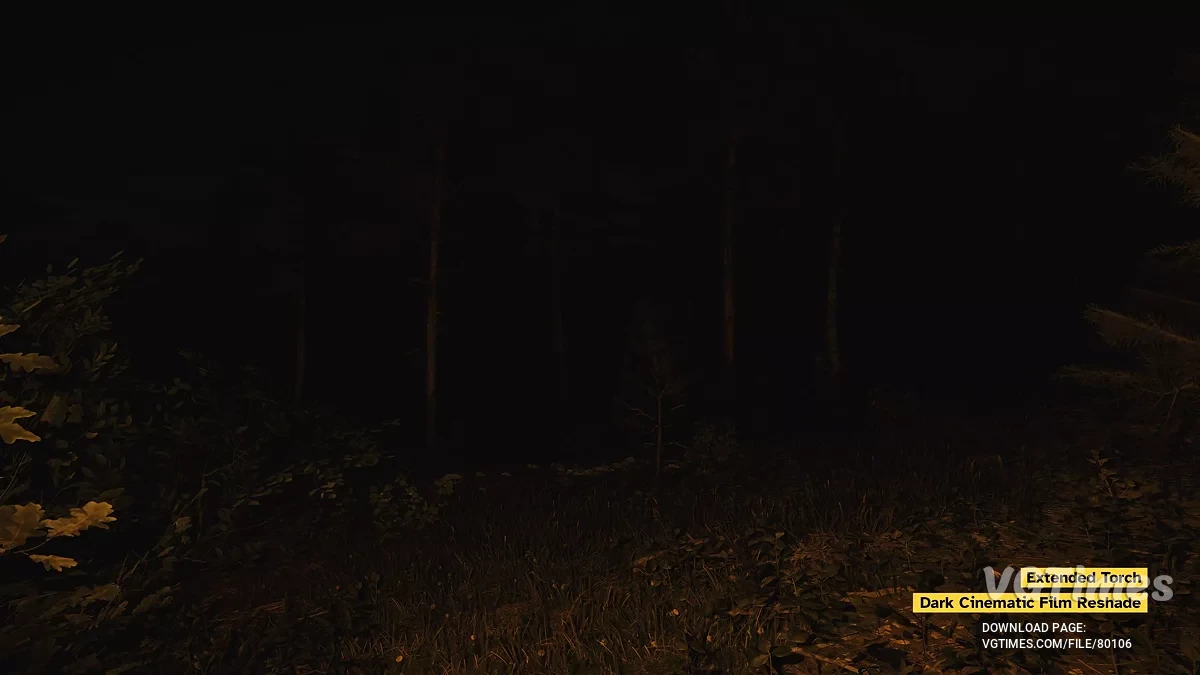 Kingdom Come: Deliverance 2 — Яркие факелы