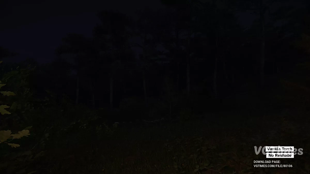 Kingdom Come: Deliverance 2 — Яркие факелы