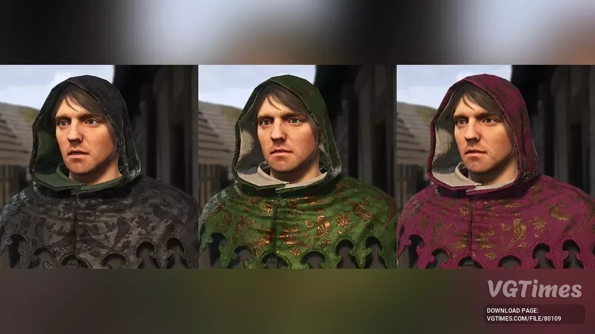 Kingdom Come: Deliverance 2 — Капюшоны