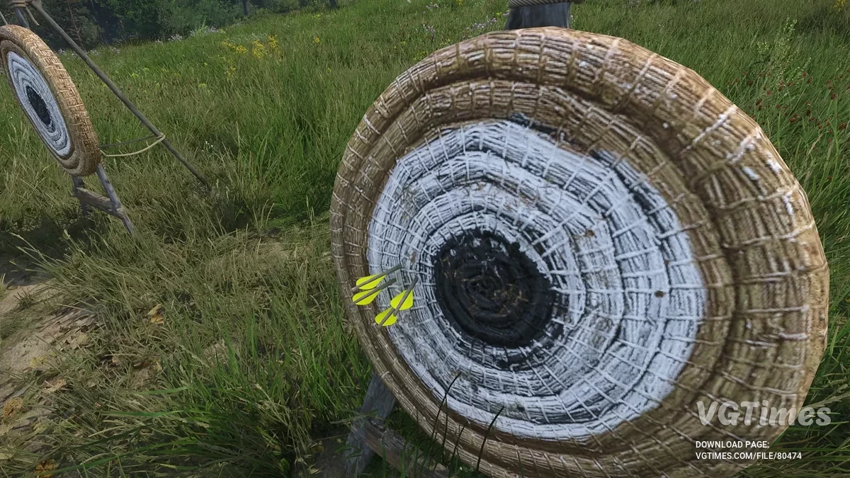 Kingdom Come: Deliverance 2 — Легко различимые стрелы и арбалетные болты