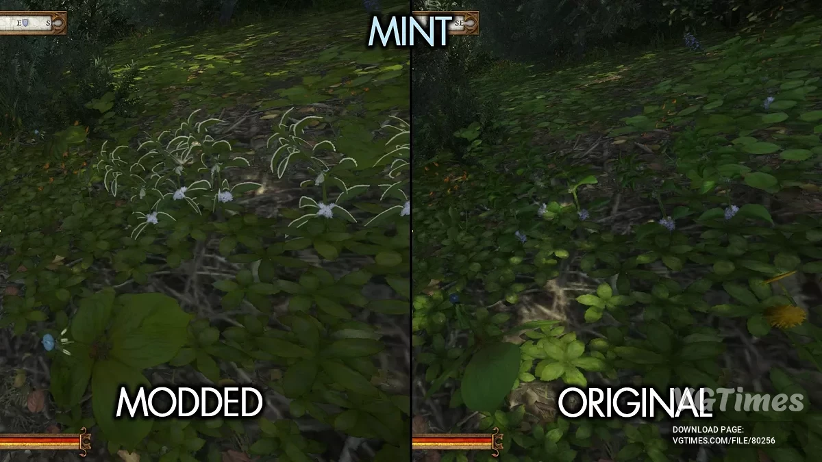 Kingdom Come: Deliverance 2 — Лёгкое обнаружение трав