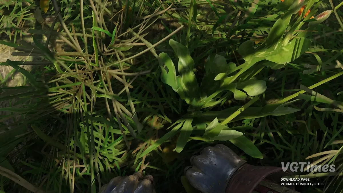 Kingdom Come: Deliverance 2 — Переработка вида от первого лица