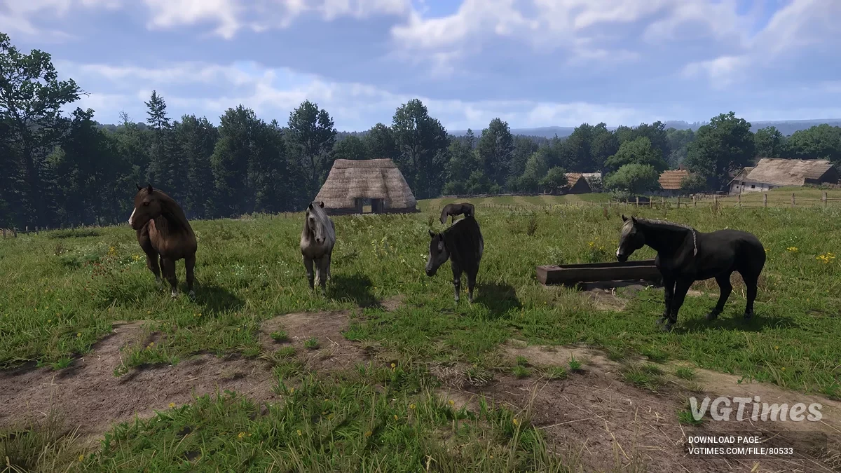 Kingdom Come: Deliverance 2 — Покупка уникальных лошадей