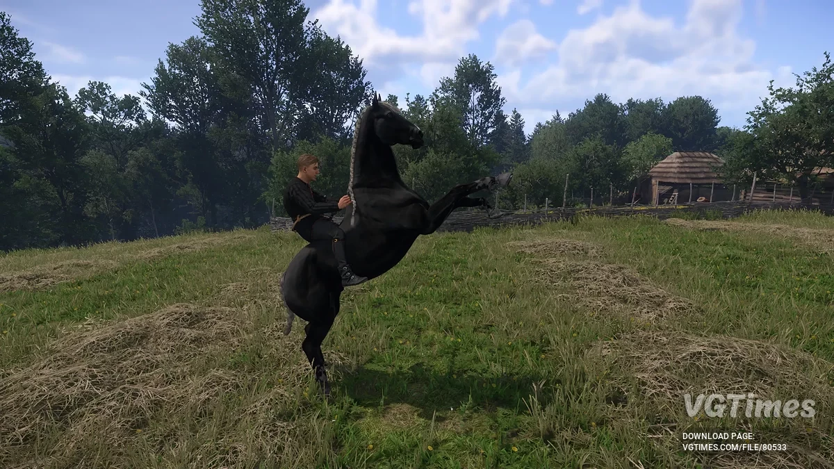 Kingdom Come: Deliverance 2 — Покупка уникальных лошадей